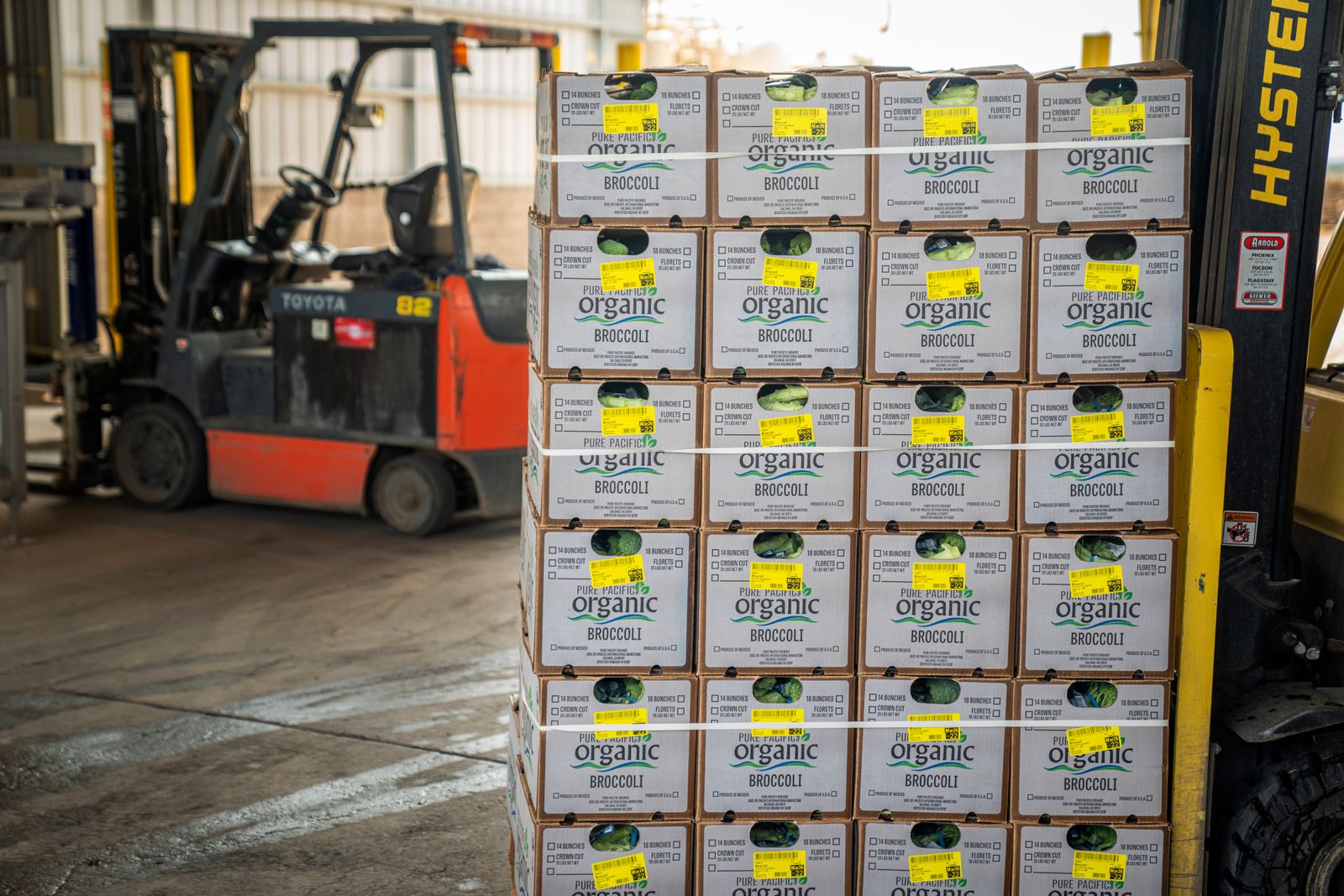 Pallets of boxes inside a climate-controlled warehouse